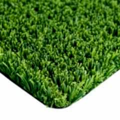 Non-Infill Grass