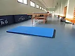 Jimnastik Minderleri 100 x 200 x 5 cm