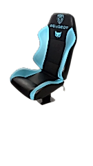 PROFESYONEL YEDEK OYUNCU KOLTUĞU