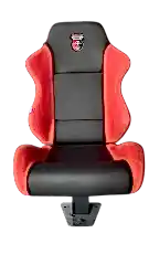 PROFESYONEL OYUNCU KOLTUĞU